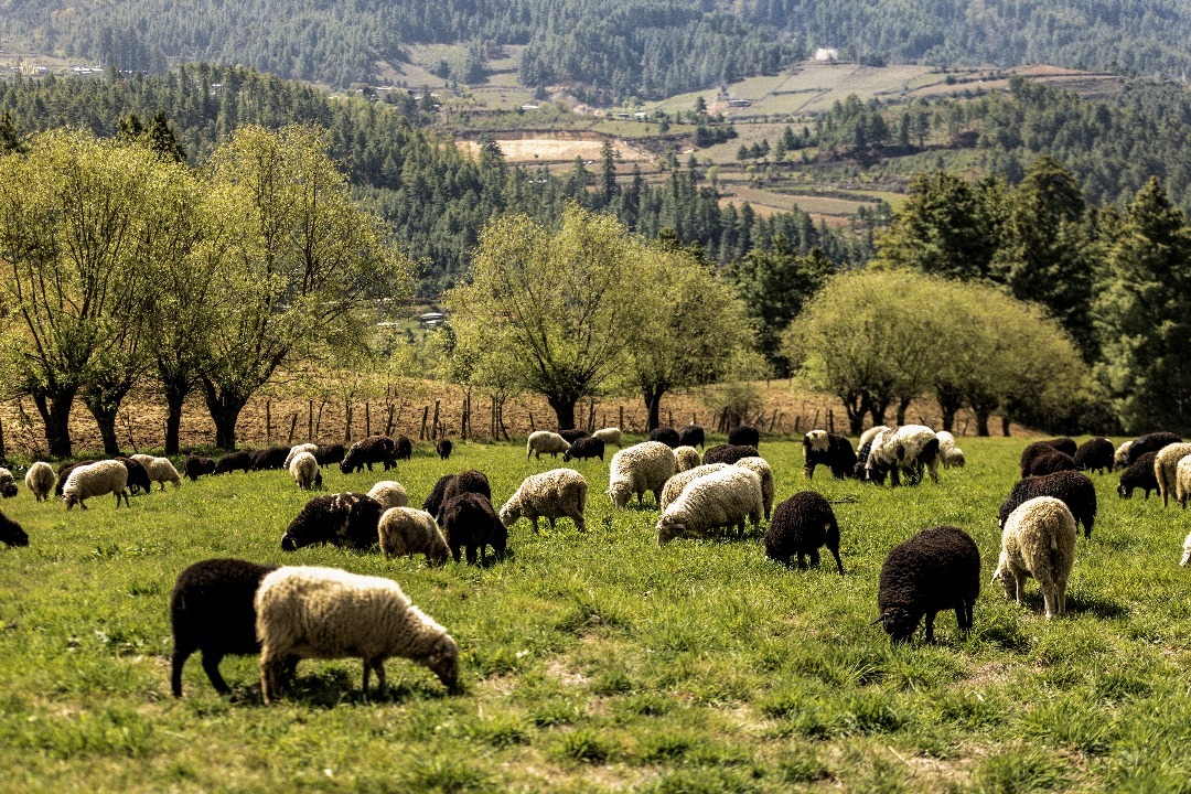 PHOTO-2025-12-09-03-31-43