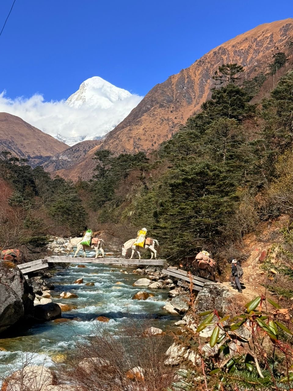 b57f6e90-5555-47b7-b1be-a63629dad3f8