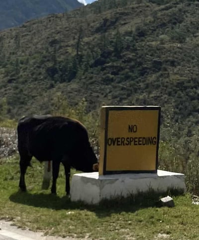 bhutan-sign-no-overspeeding-web
