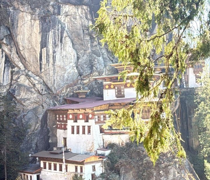 tigers-nest-crisp-web